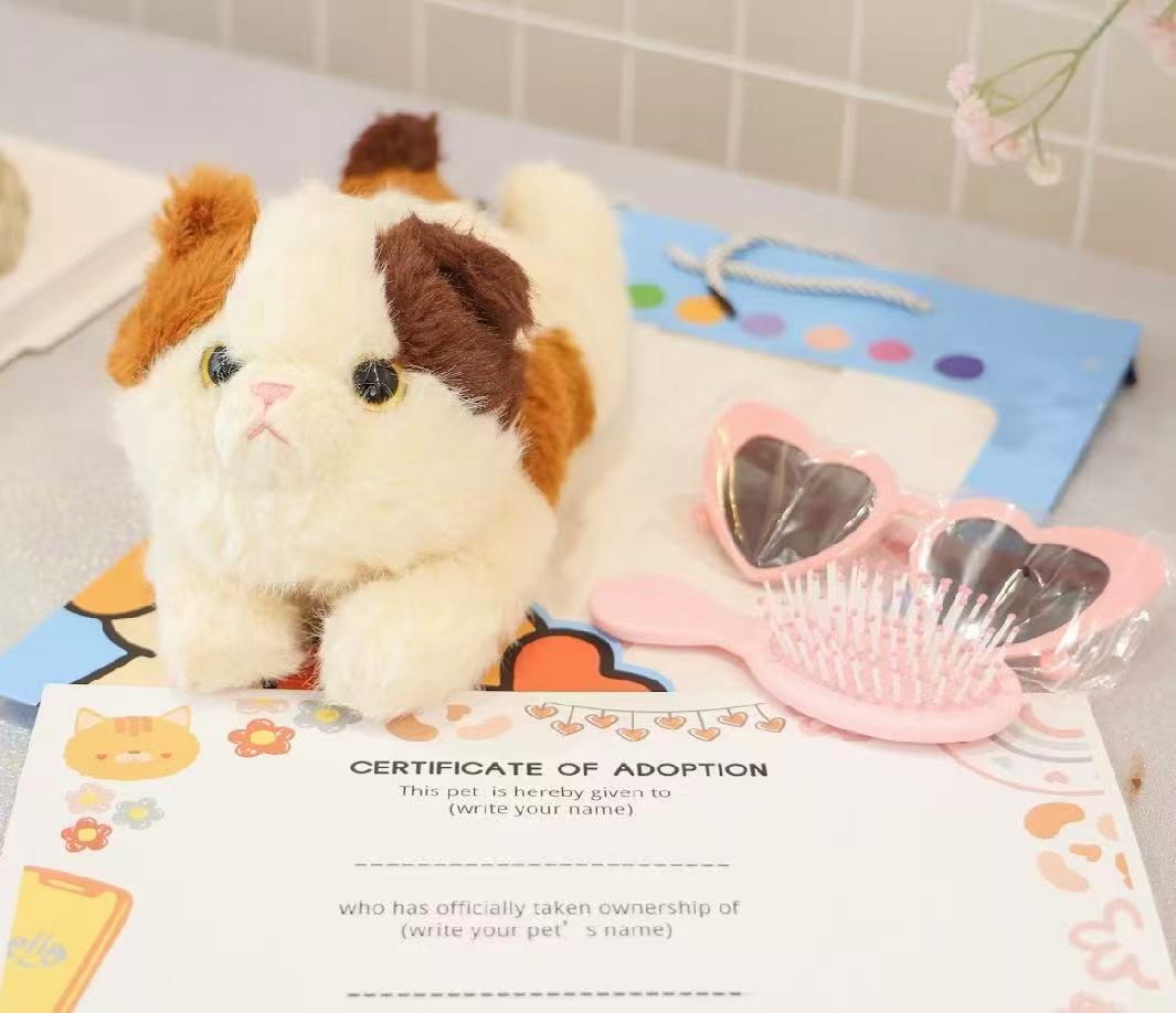 Pet Adoption Party